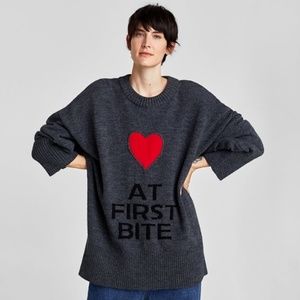 Zara Oversized Shark Love at First Bite Sweater